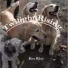 Twilight Rising - Single album lyrics, reviews, download