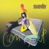 Suede - Trash