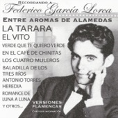Recordando a Federico García Lorca artwork