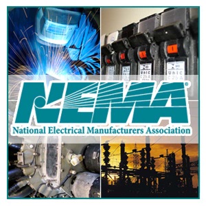 Microgrids and the Future of the Electrical System