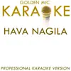 Hava Nagila (In the Style of Traditional) [Karaoke Version] song lyrics