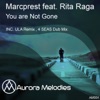You´re Not Gone (feat. Rita Raga) - Single