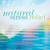 Stream & download Natural Stress Relief