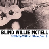 Hillbilly Willie's Blues, Vol. 5 artwork