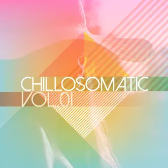 Chillosomatic, Vol. 1 by Various Artists album reviews, ratings, credits