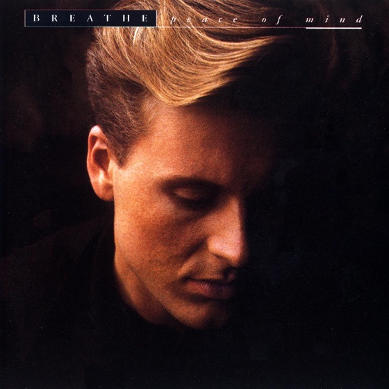 Cover artwork for Say a Prayer (Remix)