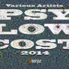 Psy Low Cost 2014