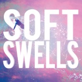 Soft Swells - Shake It Off