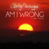 Am I Wrong (feat. Mike Attinger) - Single album lyrics, reviews, download