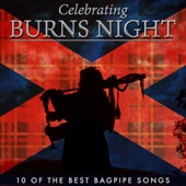 Celebrating Burns Night - 10 Of the Best Bagpipe Songs artwork