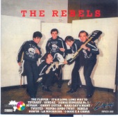 The Rebels - Rebels Surfin