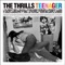 Teenager - The Thrills lyrics