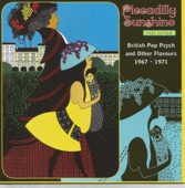 Piccadilly Sunshine Part Fifteen