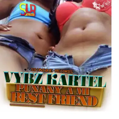 Punany a Mi Best Friend - Single - Vybz Kartel