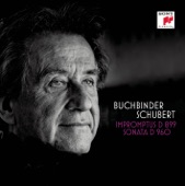 Schubert: Impromptus, D. 899 & Sonate, D 960 artwork