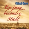 En janz besondere Stadt - Single