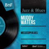 Muddy waters - Forty Days and for Nights