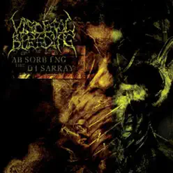 Absorbing the Disarray - Visceral Bleeding