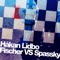 America's Funniest Murders - Håkan Lidbo lyrics