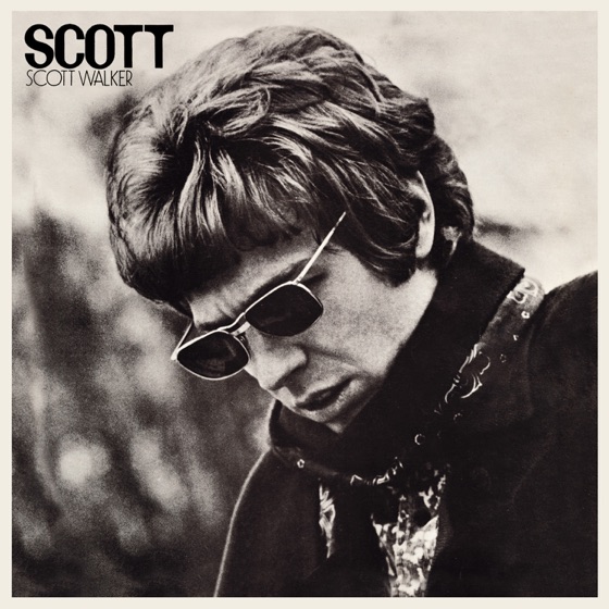 Cover artwork for The Big Hurt