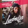 Sem Querer (Funk Mix) - Single album lyrics, reviews, download