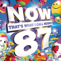 Various Artists - Now That's What I Call Music! 87 artwork