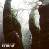 The Descent - Single