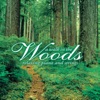 A Walk in the Wood: Relaxing Piano and Strings