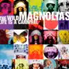 Life Is a Carnival album lyrics, reviews, download