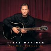 The Hits Collection: Steve Wariner artwork