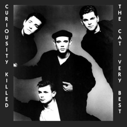 Curiosity Killed the Cat - Name and Number
