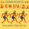Dimlights - Bound to Ride