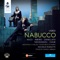 Nabucco, Act III: Va’, pensiero, sull’ali dorate (Chorus) artwork