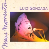 Luiz Gonzaga - Meus Momentos artwork