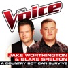 A Country Boy Can Survive (The Voice Performance) - Single artwork