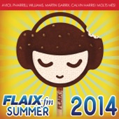 Flaix Summer 2014 artwork
