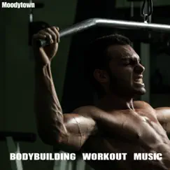 Bodybuilding Workout Music by Various Artists album reviews, ratings, credits