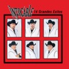 Fuerte No Soy by Intocable iTunes Track 1