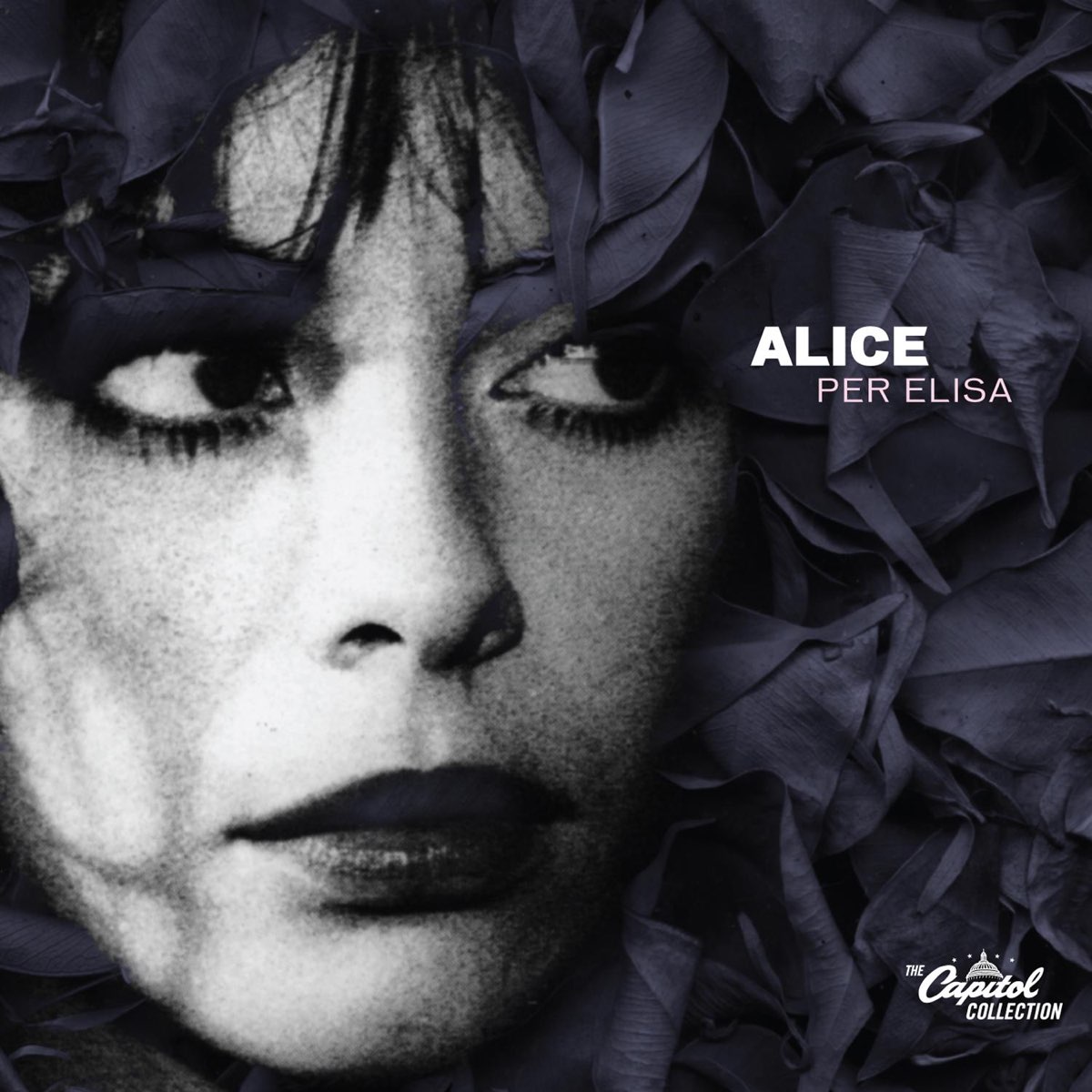 Алиса музыку потише. Alice "per Elisa". "Per Elisa". Элис песни. Alice (Carla Bissi) альбом il sole nella pioggia.