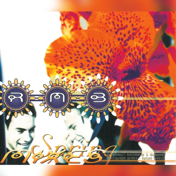Cover artwork for Spring (Microwave Prince Remix)