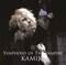 Adagio of the Full Moon - KAMIJO lyrics