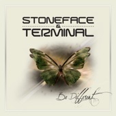 We Own the Night (Stoneface & Terminal Album Mix) [with Kyau & Albert] artwork