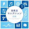 コロムビア・スタジオ - 吹雪