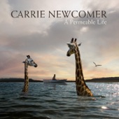 Carrie Newcomer - Room at the Table