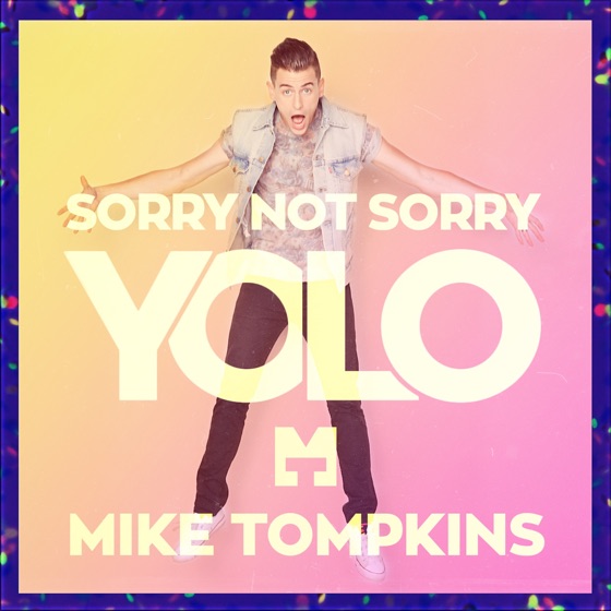 Cover artwork for Sorry Not Sorry (Yolo)