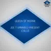 Queen of Insane (Joe T Vannelli Present Csilla) album lyrics, reviews, download