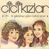 Gülebilmez Gülüm Bahar Sensiz - Single