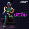 Neon House Night, Vol. 6, 2013