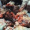 A refaire - Pkrk lyrics