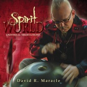 Spirit World: Universal Meditations